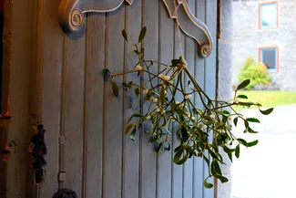 Bouquet de gui, symbole de prospérité et de protection, suspendu par une ficelle à la porte d’entrée de la Blanche Maison lors du goûter de Noël le 20 décembre 2025 à Nisramont.